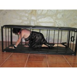 BED-GAIOLA
