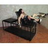 BED-GAIOLA